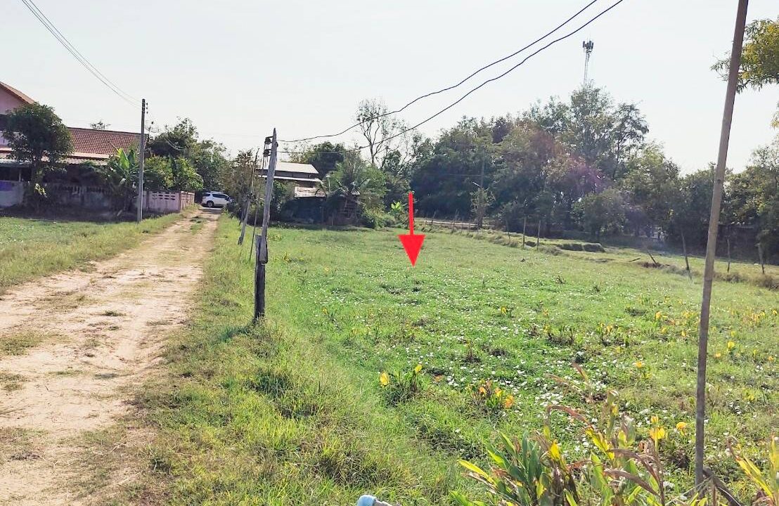 timeline_20240124_214449