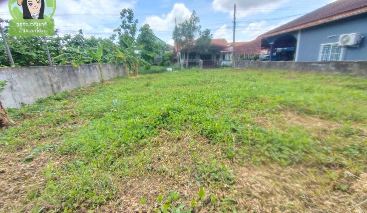 timeline_20240602_143634
