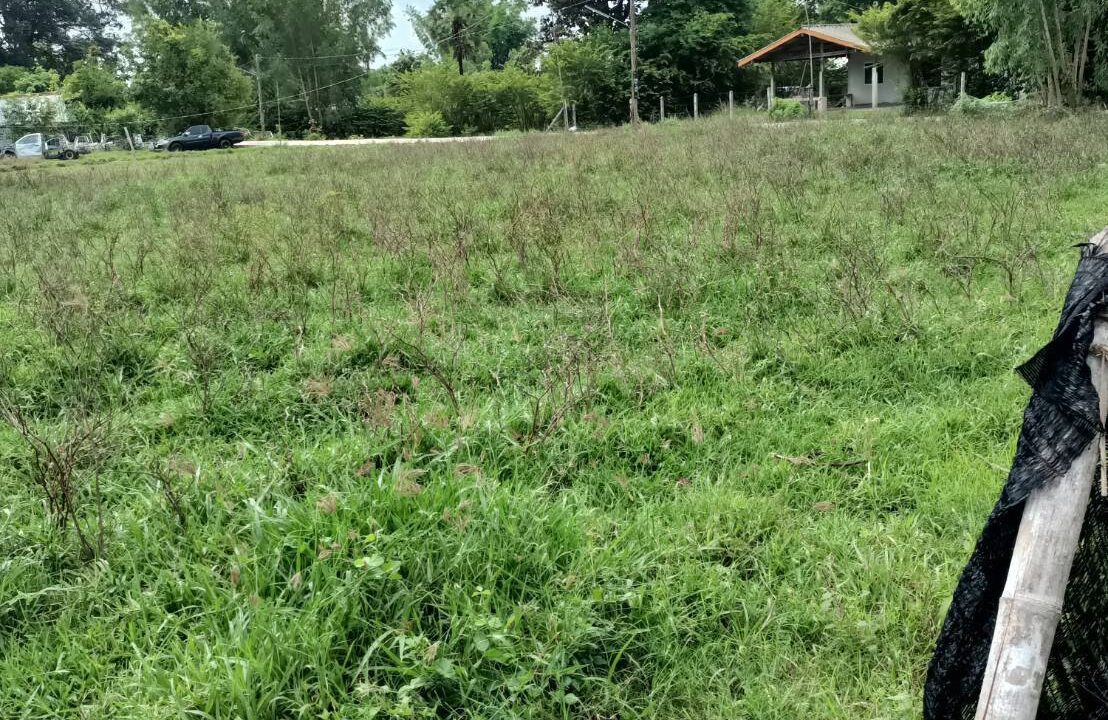 timeline_20240607_090439