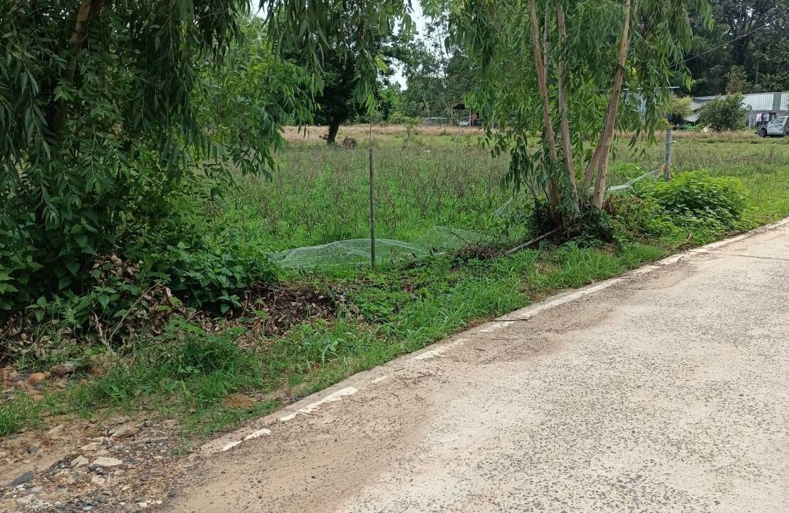 timeline_20240607_090440