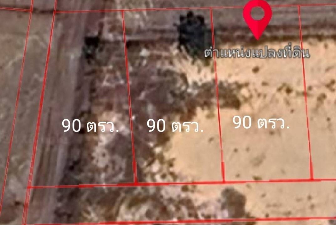 timeline_20240611_215636