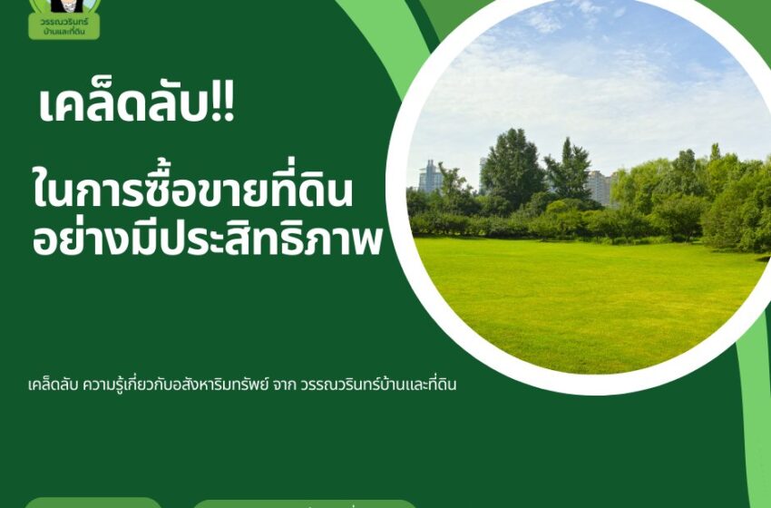  เคล็ดลับในการซื้อขายที่ดินอย่างมีประสิทธิภาพ!