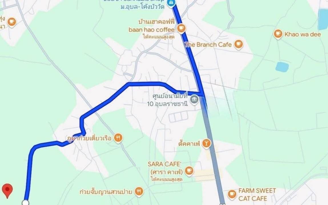 timeline_20241220_134230