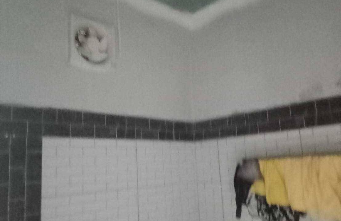 timeline_20250130_141302