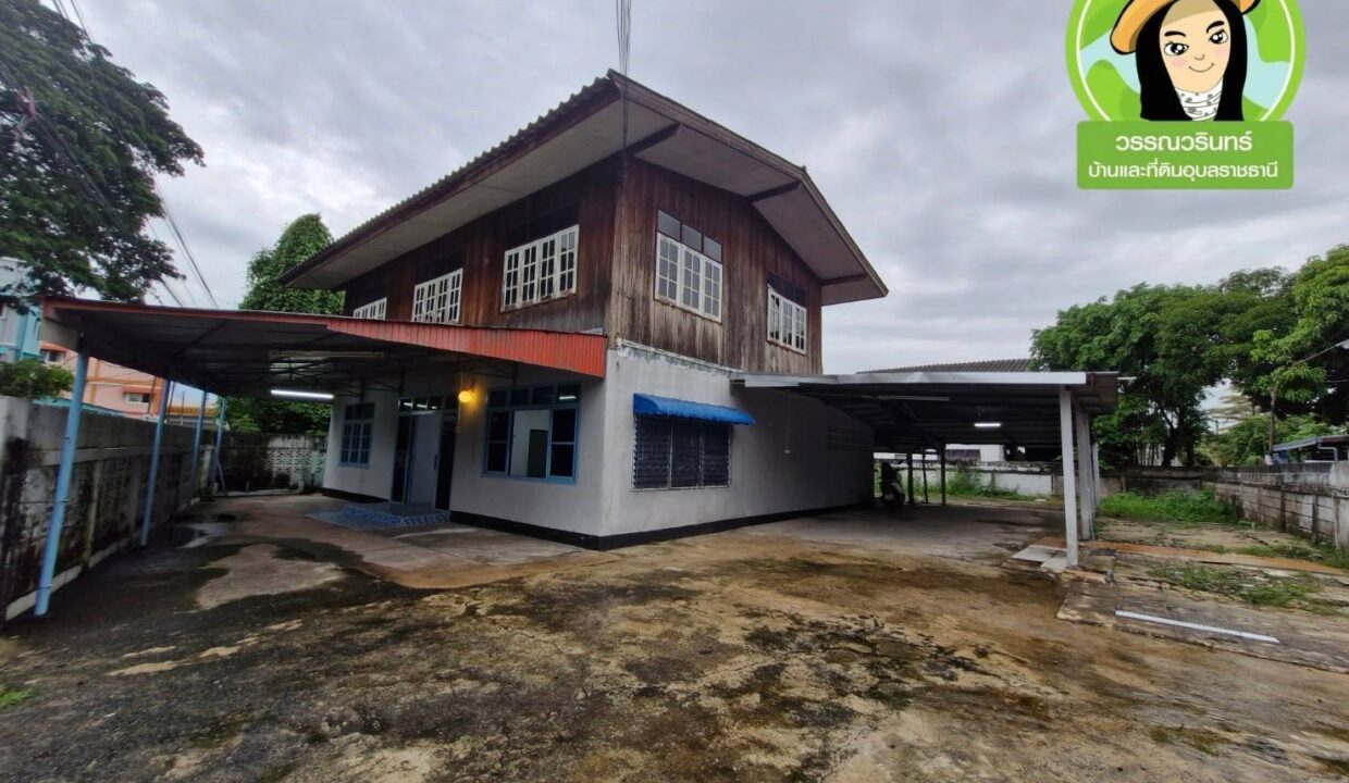 timeline_20250131_164225