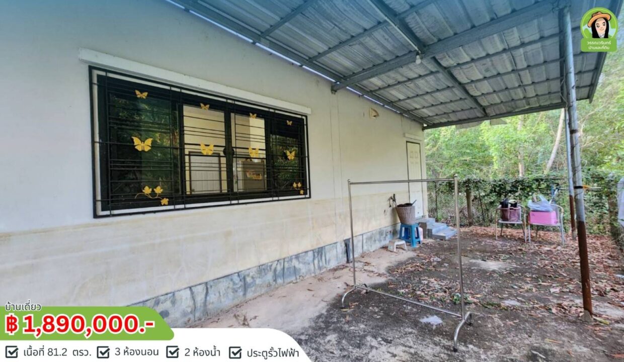 timeline_20250131_170522