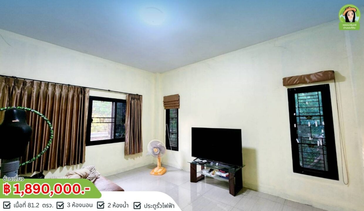 timeline_20250131_170536