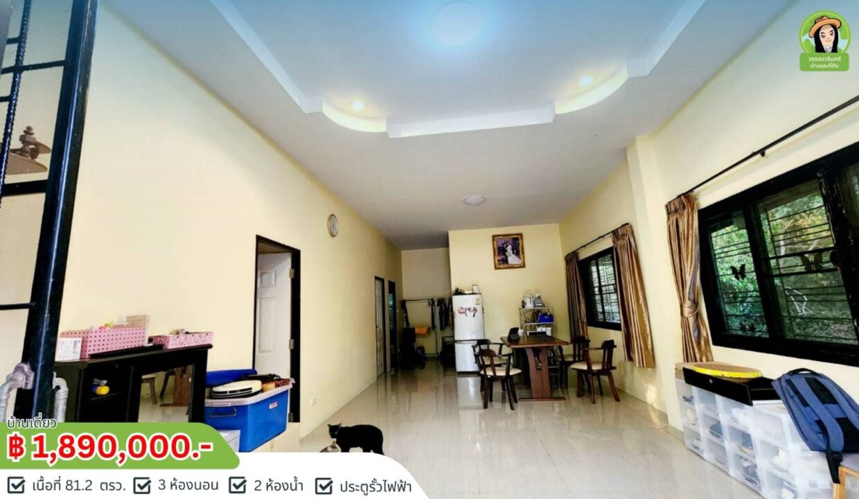 timeline_20250131_170540