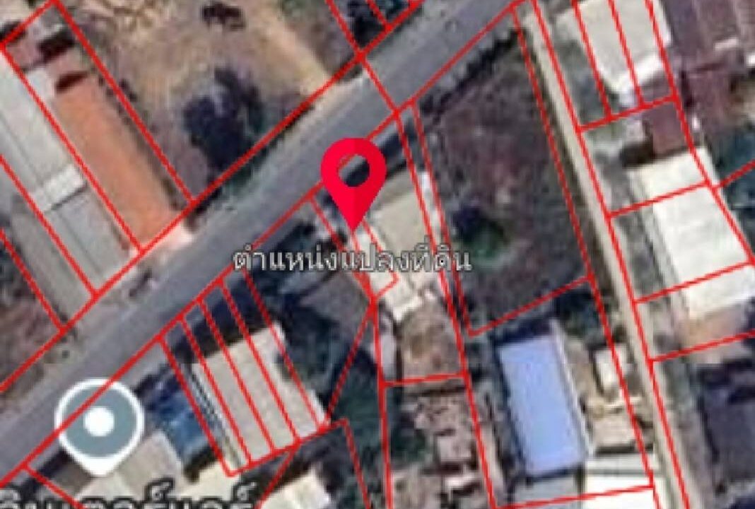 timeline_20250202_164654