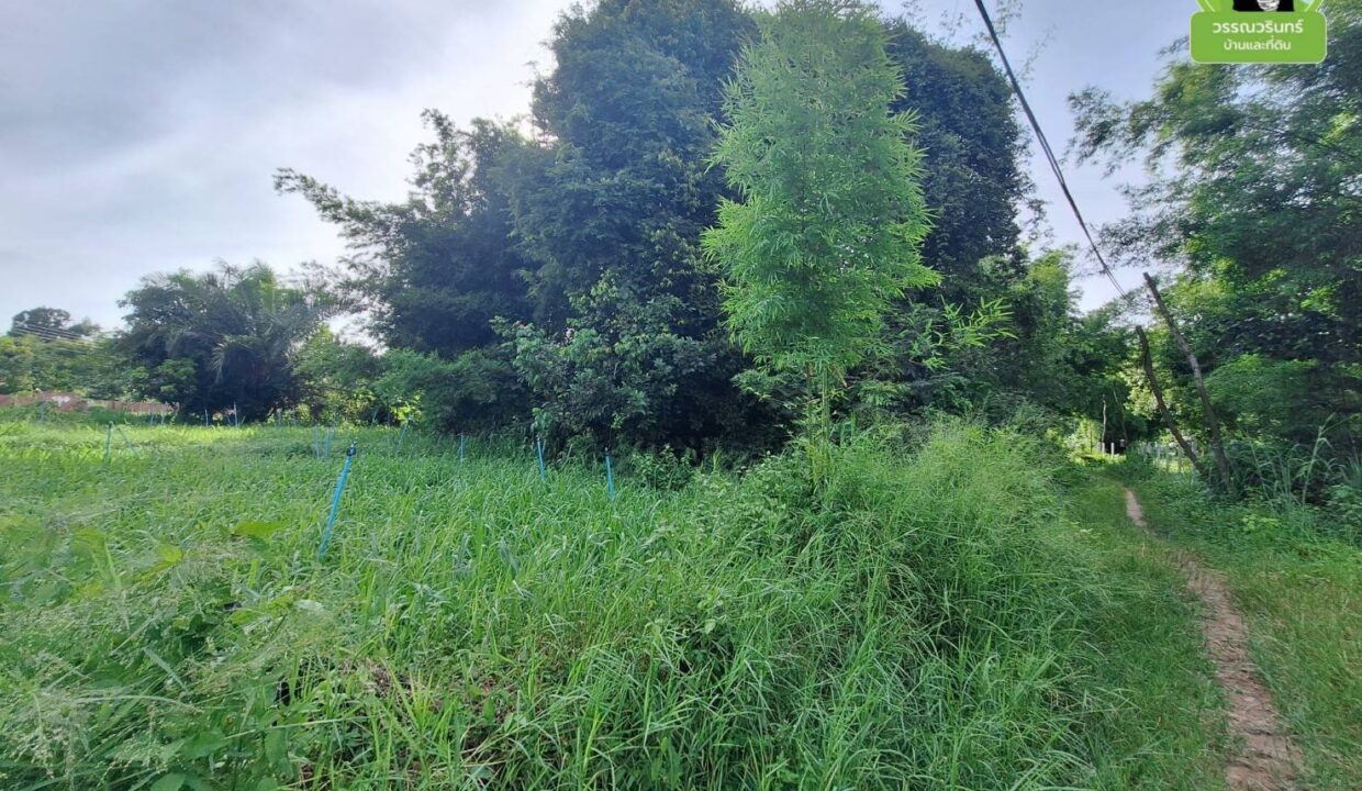 timeline_20250203_214159